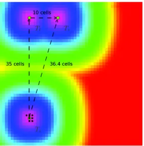 Figure 1: Attractiveness map state at initial configuration. The initial tree is named T r and have (20, 5) grid coordinates, the leftmost tree is named T l and have (10, 5) grid coordinates, the rightmost tree is named T i