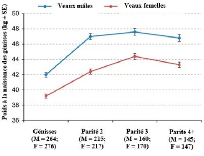 Figure 1.2. Poids à la naissance des veaux par rapport à leur sexe et à la parité de leur mère  Adaptée de Kamal et al