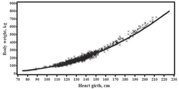 Figure  1.6.  Relation  entre  le  poids  corporel  et  la  circonférence  du  cœur.  La  ligne  en  trait  continu montre le poids corporel prévu par le ruban pondéral Holstein