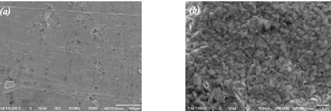Figure 17 : Observations MEB des surface des dépôts Ni/Au sur le substrat cuivre. 