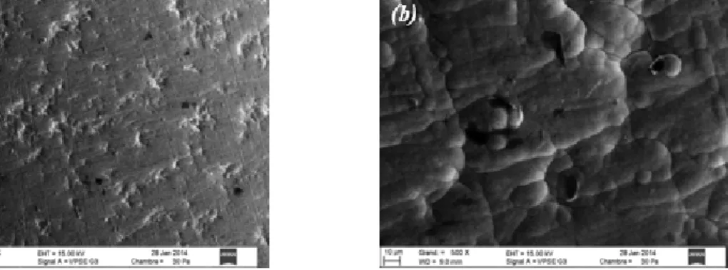 Figure 18 : Observations MEB des surface des dépôts Ni/Ag sur le substrat cuivre. 