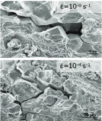 Figure  1  -  Typical  fracture  surface  SEM  micrographs  for  (a)  a  tensile  test  under simulated PWR testing conditions and (b) a tensile test at 650°C in air