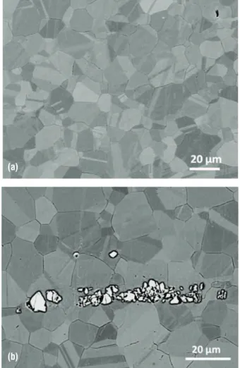 Figure 4 - Typical SEM micrographs of alloy 718 used in this study:  (a) fully recrystallized equiaxed microstructure