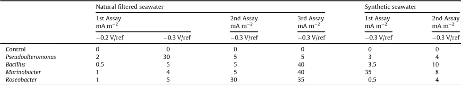 Fig. 1. Chronoamperometry in ﬁltered natural seawater of the bacterial strains isolated from a multispecies seawater bioﬁlm