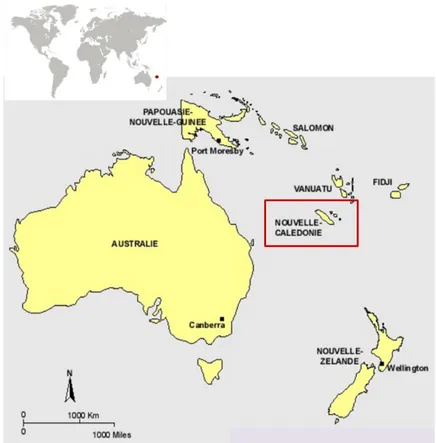Figure 1 : situation géographique de la Nouvelle-Calédonie (d’après J. BEUCHER 1999) 