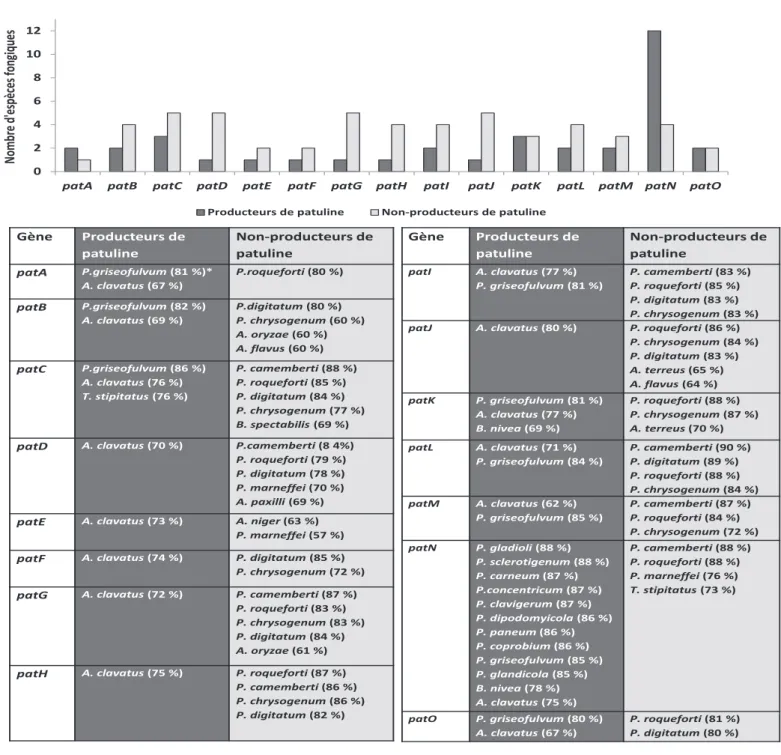 Figure 3 : Résultats de l’analyse BLAST des séquences des gènes du cluster de la patuline chez P