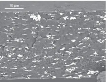 Fig. 6. Electrical bulk (left scale) conductivity of the nanocomposites as a function of ﬁller fraction