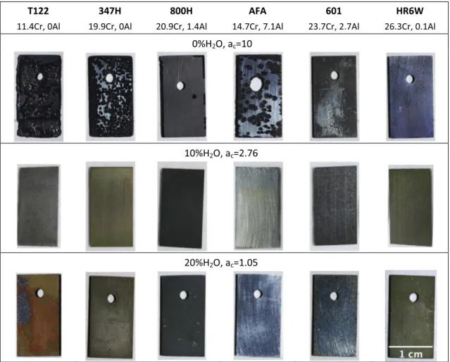 Fig. 5. Samples after exposure for 500 h at 650 °C and P atm in a (51–X)%H 2 –43%CO–6%CO 2 –X%H 2 O gas mixture for Tests 4 (0%H 2 O, a c = 10), 5 (10%H 2 O, a c = 2.76) and 6 (20%H 2 O, a c = 1.05)