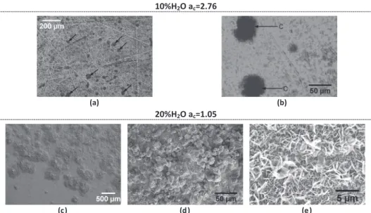 Fig. 7. SEM images of the surface of T122 alloy after 500 h at 650 °C and P atm in a (51–X)%H 2 –43%CO–6%CO 2 –X%H 2 O gas mixture for (a and b) Test 5 (10%H 2 O, a c = 2.76) and (c–e) Test 6 (20%H 2 O, a c = 1.05)