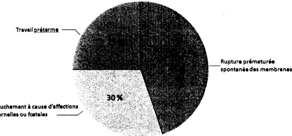 Figure  1.  D'après  McCormick,  M.C.,  les  précurseurs  obstétricaux  des  naissances  prématurées [McCormick et Behrman, 2007]