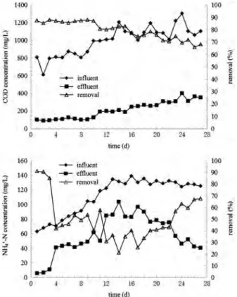 Fig. 3. Evolutions of COD and ammonia nitrogen removals during sludge acclimatization in BAFs.