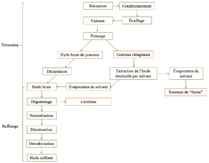 Figure 1: Procédé d'extraction de l'huile par pressage et extraction par solvant. Adapté de Daun et al