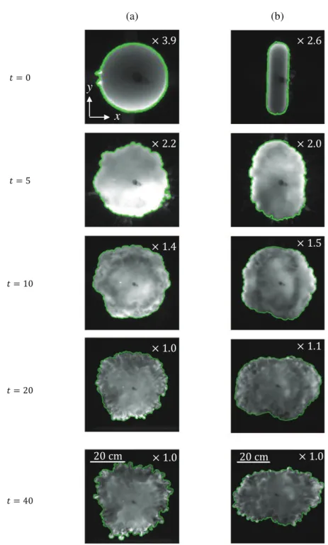 FIG. 4. Top view of the collapse of a turbidity current of initial (a) circular cross section (Exp 7) and (b) non-circular cross section (Exp 3)