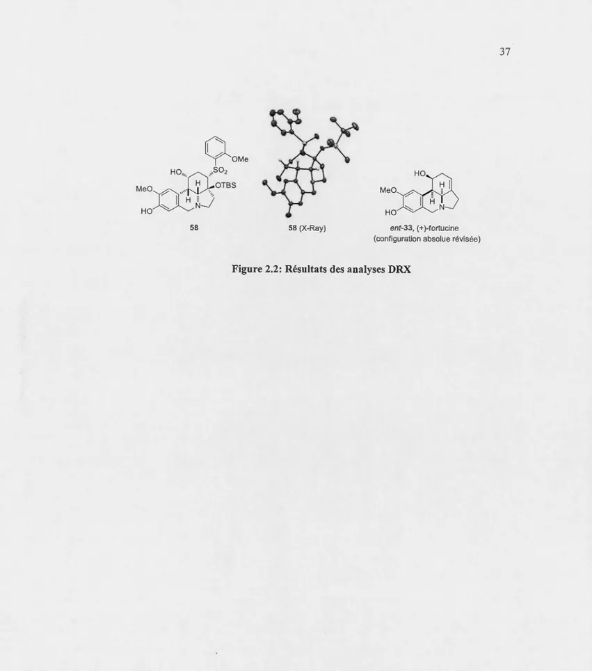 Figure 2.2:  Résultats des analyses DRX 