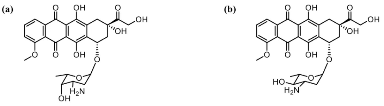 Figure 1.7 Molecular structures of (a) doxorubicin and (b) epirubicin. 