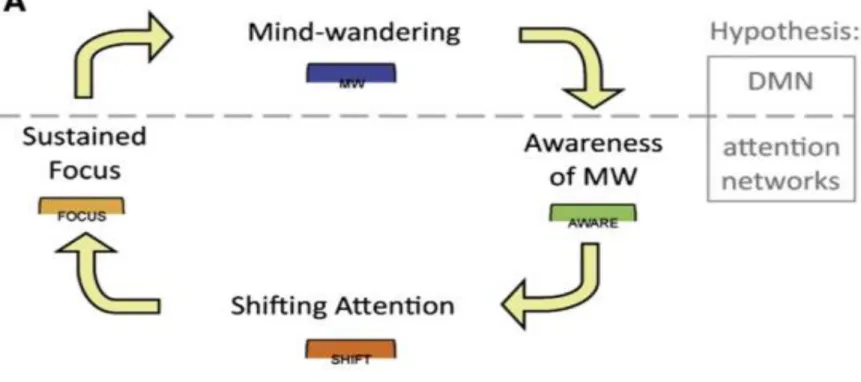Figure 7. Modèle théorique de la pratique de la méditation focalisée (Hasenkamp et al., 2012)