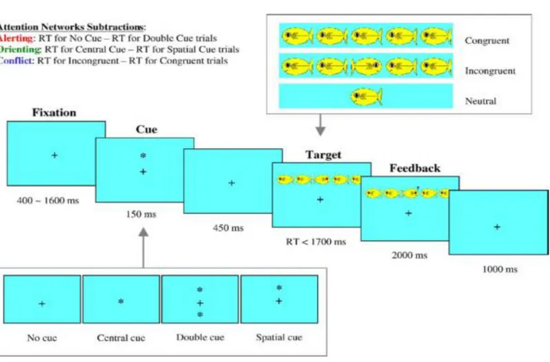 Figure 9. Conditions expérimentales de l’Attention Network Test (Fan et al., 2002), image tirée de Rueda et al