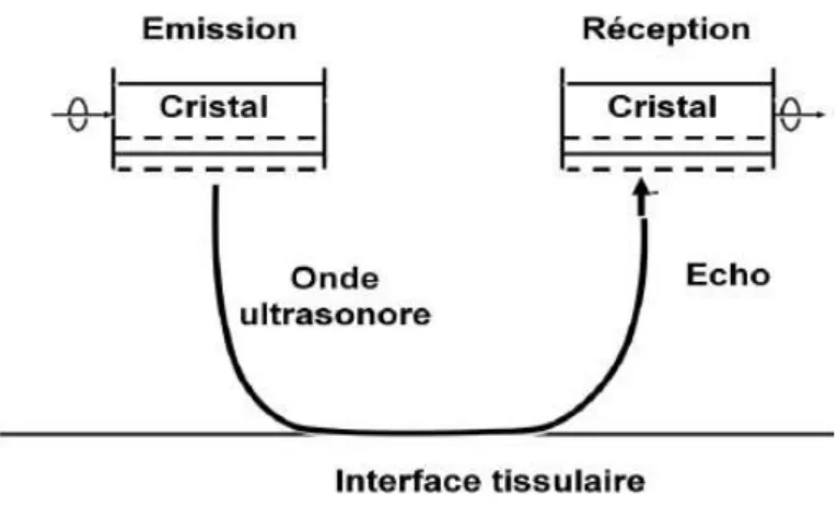 Fig. 11 - SCHEMA DE L’EMISSION ET DE LA RECEPTION DES ULTRASONS, (12) 