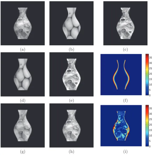 Figure 1.19 – Estimation de l’éclairage « ambiant ». (a) Une image de synthèse d’un vase (parmi m = 50), calculée avec le modèle (1.43), en utilisant l’image (b) comme albédo ρ et l’image (c) comme terme additif φ a 