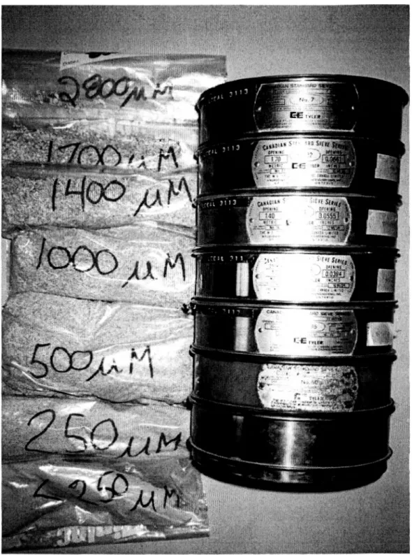 Figure 2.1 Particules de bois tamisées