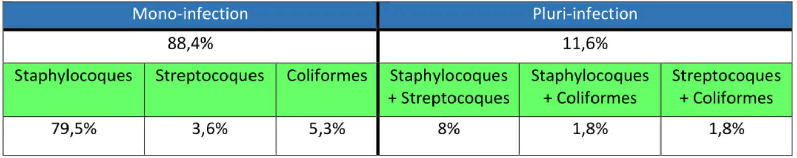 Tableau 1 : Fréquence d’isolement de Staphylococcus spp selon le type de mammite   (111 chiennes, Jung et al 2002)  Mono-infection  Pluri-infection  Présence de  Staphylococcus  spp  70%  57% Mammite  clinique  Mammite  subclinique  Mammite clinique  Mammi