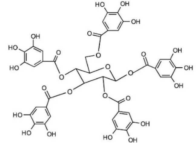 Figure 2. Les tanins galliques 