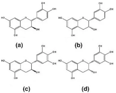 Tableau 4. Caractéristiques chimiques des divers Flavan-3-ols 