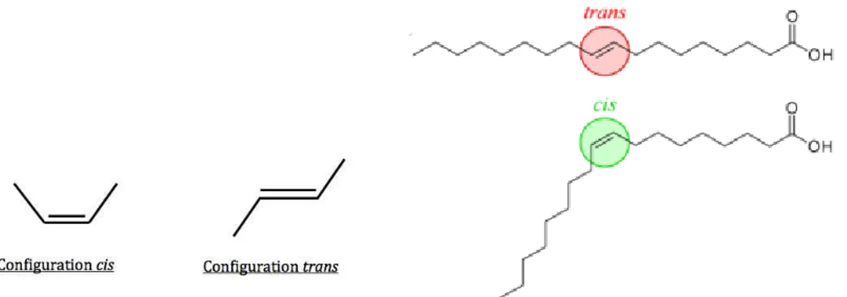 Figure 2. Acides gras insaturés en configuration cis vs. trans  