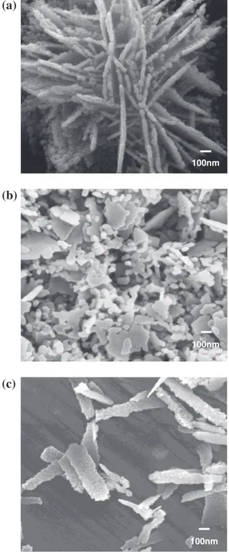 Fig. 2. Scanning electron microscopy images of Cu 2 O nanoparticles in the case of excess (a) and (b) equimolar ratio of (ascorbic acid/solution salt) used to form the precipitate.