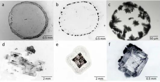 Figure 2.  Crystallization pattern of two types of salt solution droplets at the end of drying on three types  of glass slides with different wetting properties
