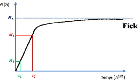 Figure 2-12- Schéma courbe d'absorption théorique suivant la loi de Fick [Chatti, 2013] 
