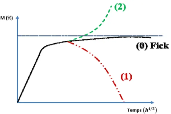 Figure 2-13- Schéma courbes d'absorption possibles, divergeant de la loi de Fick [Chatti, 2013] 