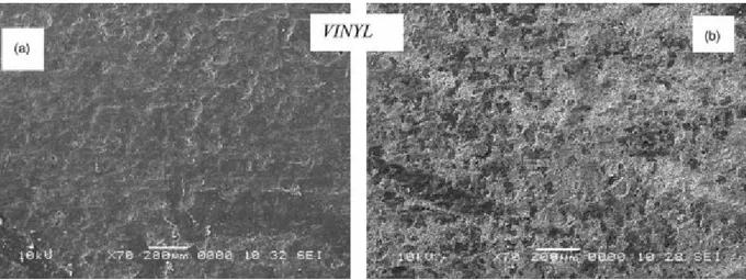 Figure 2-15 - Microscopie d'une résine vinylester hydrolysée après vieillissement hygrothermique   [Visco, 2011] 
