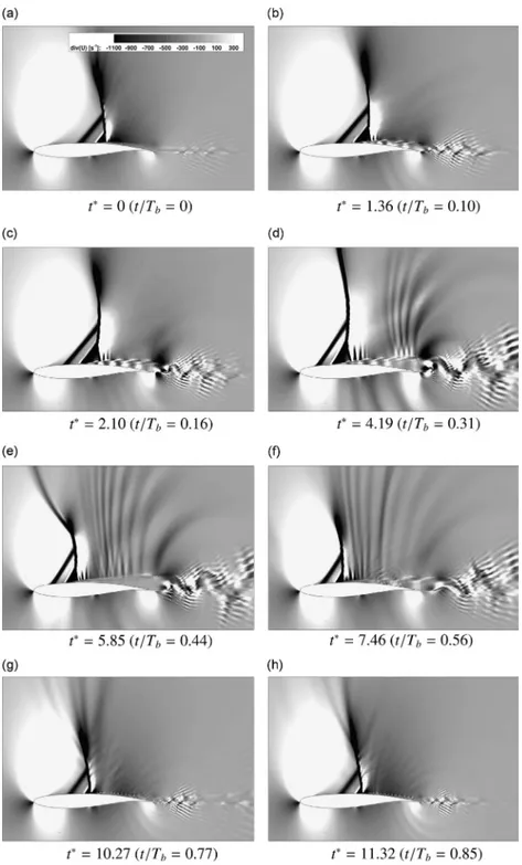 Fig. 8. Instantaneous fields of velocity divergence (T b is the buffet period).