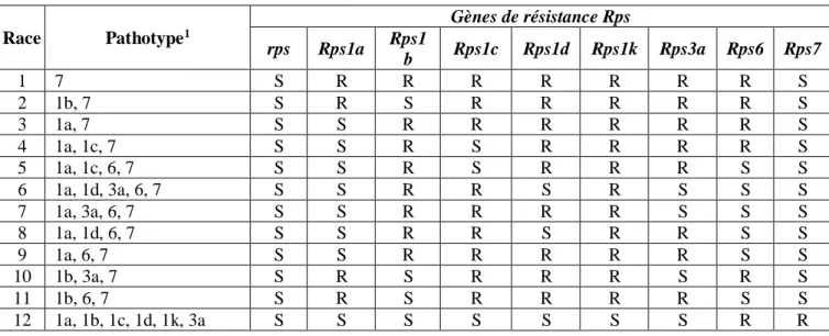 Tableau 2 Exemples de pathotypes de certaines races de Phytophthora sojae identifiés  avec huit lignées différentielles de soya chacune possédant un unique gène Rps (d’après  Sugimoto et al