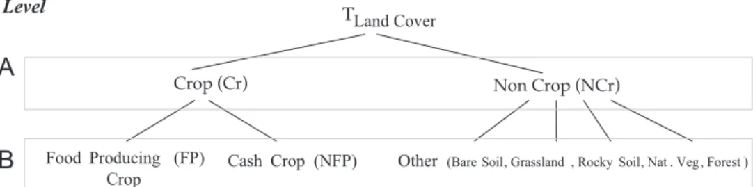 Fig. 3. Crop hierarchy: the hierarchical organization of the classes to predict. Level A contains only two classes: Crop, Non-Crop while level B reﬁnes the previous set of classes adding a specialization (food producing crop, cash crop) of the Crop class