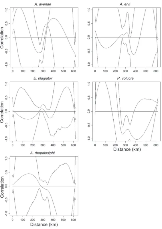 Fig. 3. Spline correlograms on parasitoid relative abundance data corresponding to all fields and each of the five parasitoid species monitored
