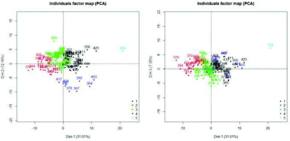 Figure 7: Five clusters in the PCA coordinates