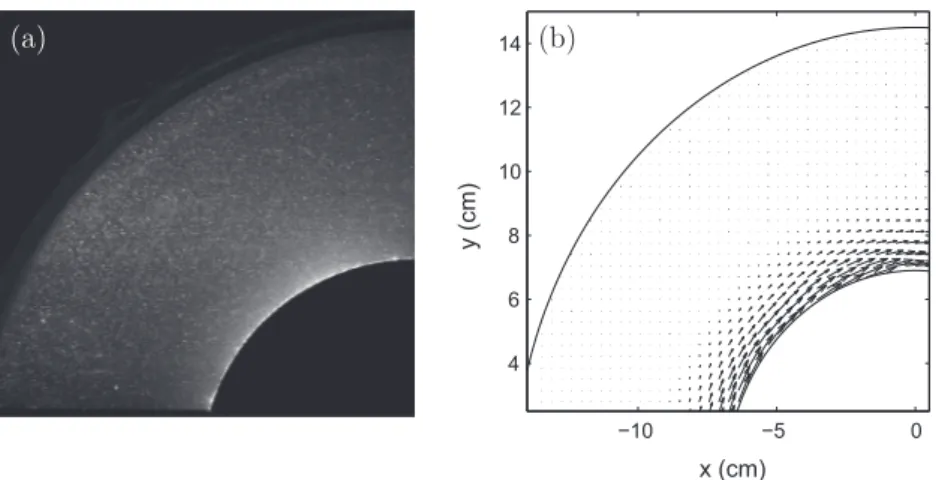 Fig. 3. Typical results from PIV. (a) Raw image recorded by the camera. (b) Velocity field: note that, for sake of clarity, the spatial resolution shown in this figure is half the spatial resolution of the grid used for velocity field reconstruction.