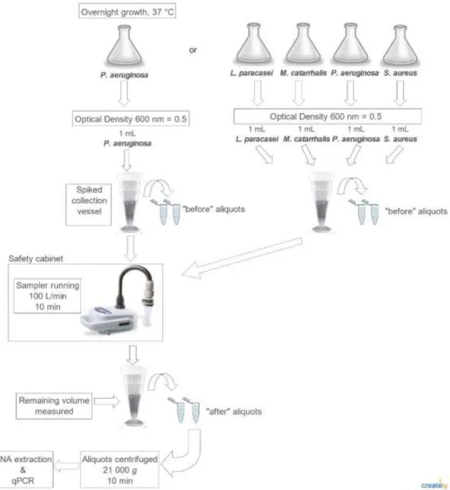 Figure 1-1 – Experimental protocol for sampling each of the four bacteria strains and the  bacterial consortium using Coriolisµ® and the BioSampler®