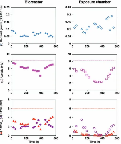 Fig. 5. Bacterial growth and evolution of acetate, nitrate and nitrite concentrations in the bioreactor (on the left) and in the exposure chamber (on the right) during the continuous culture of Hd with a minimum medium at pH 10