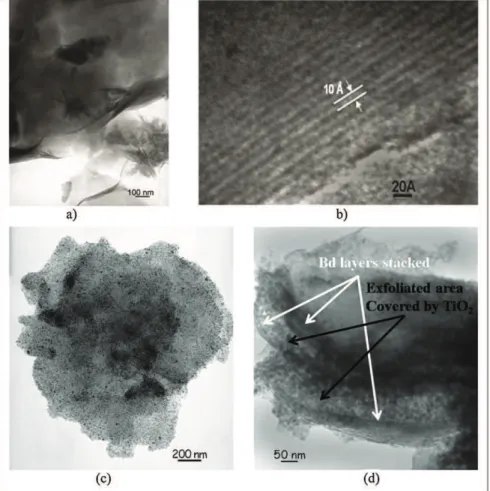 Fig. 6. TEM micrographs of Na + – Bd showing (a) the petalloïd microstructure and (b) the 10 Å interlayer spaces characteristic of Bd