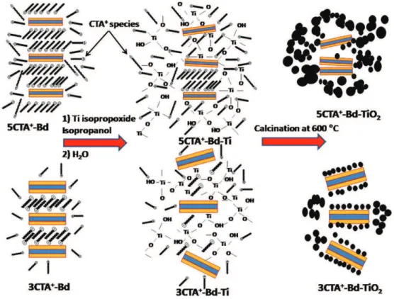 Fig. 12. Adapted schematic illustration from Letaïef et al. (2006) showing the difference in microstructure of TiO 2 developed in different disposition modes of CTA + species within organophilic environments created upon organomodiﬁcation with amounts of C