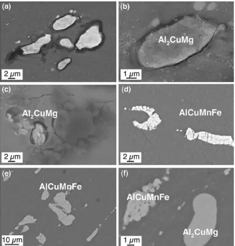 Fig. 4. SEM micrographs of M2024 surface after  20h of immersion in a  0.1 M Na25O 4  +0.05 M NaCI solution containing: (a) and (b) BTA