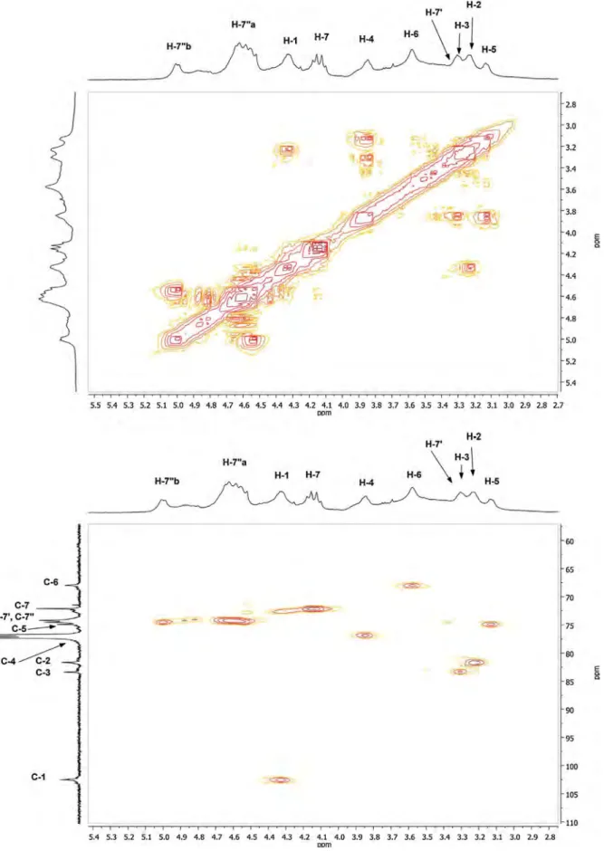 Fig. 4. 1 H/ 1 H-COSY NMR, 1 H/ 13 C-HSQC and 1 H/ 13 C-HMBC NMR spectra of cellulose ether 2c in CDCl 3 .