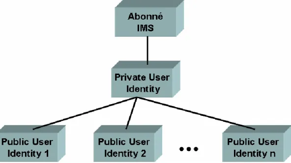 Figure 1.6. Relation entre l’identité privée et publiques en IMS 3GPP  R5. 