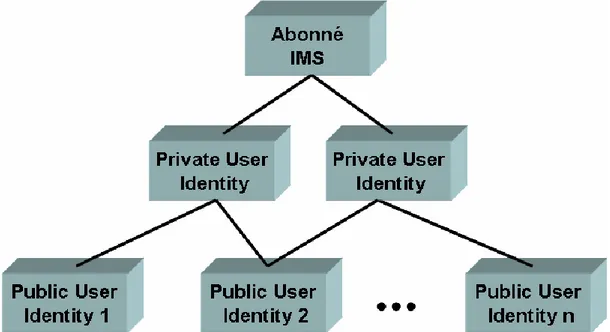 Figure 1.7. Relation entre l’identité privée et publiques en IMS 3GPP  R6. 
