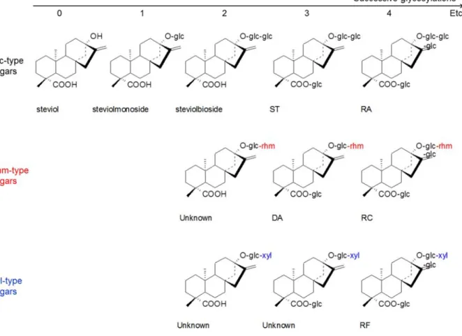 Figure 17 : Schematic representation of the main steviol glycosides. 