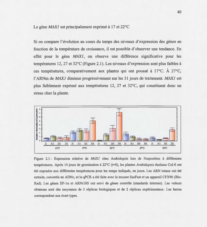 Figure  2.1  :  Expression  relative  de  MAXJ  chez  Arabidopsis  lors  de  l'exposition  à  différentes  températures