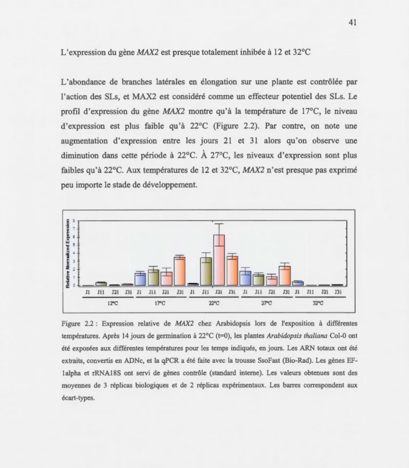 Figure  2.2  :  Expression  relative  de  MAX2  chez  Arabidopsis  lors  de  l'exposition  à  différentes  températures